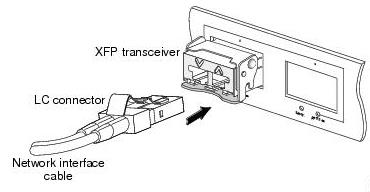 Cabling a 10-Gigabit XFP Transceiver Module